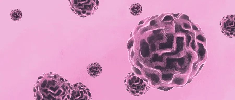 【健康科(kē)普】“科(kē)學*，健康生(shēng)活”